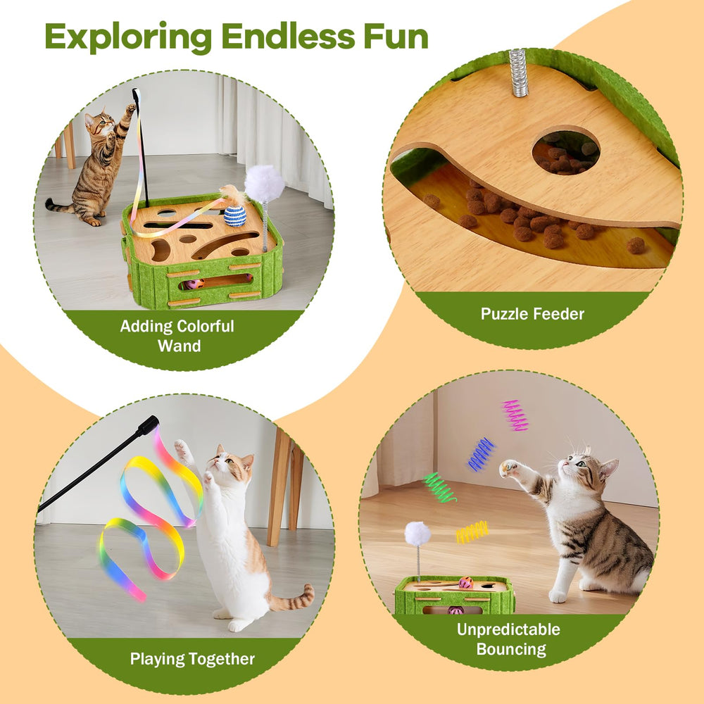 GLYVIAN 5-in-1 rotation-set keeps indoor cats curious and mentally stimulated