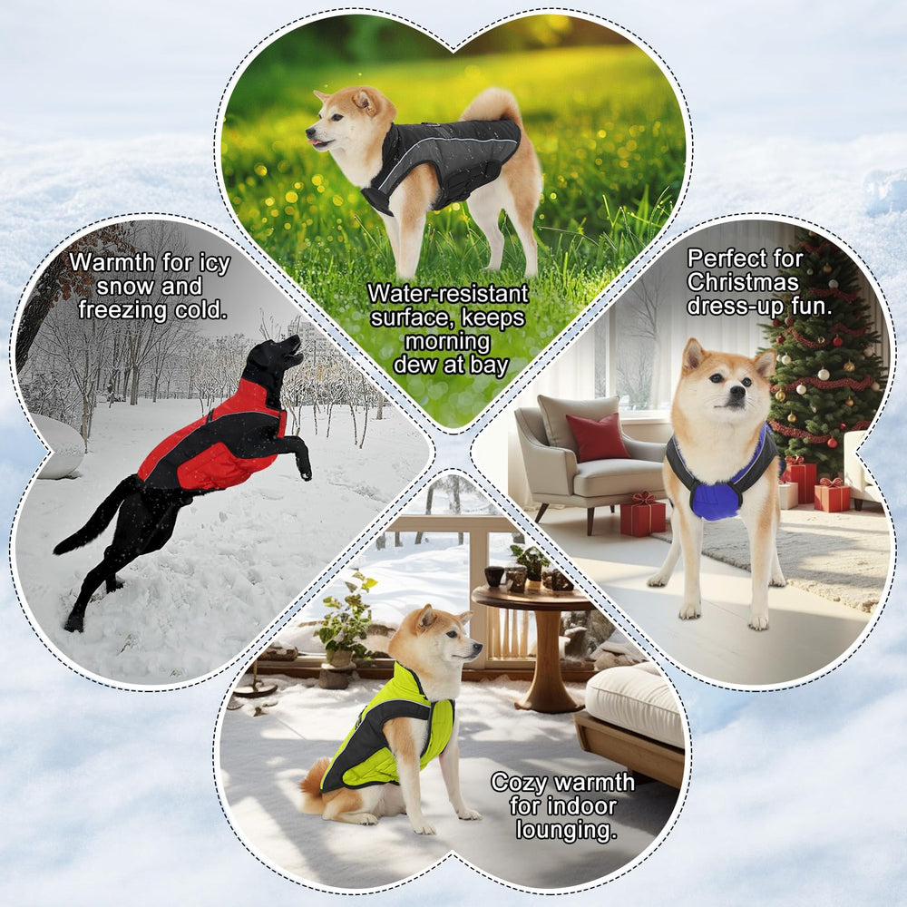 Gmayoo dog coat adjustable closure for easy on/off and secure fit