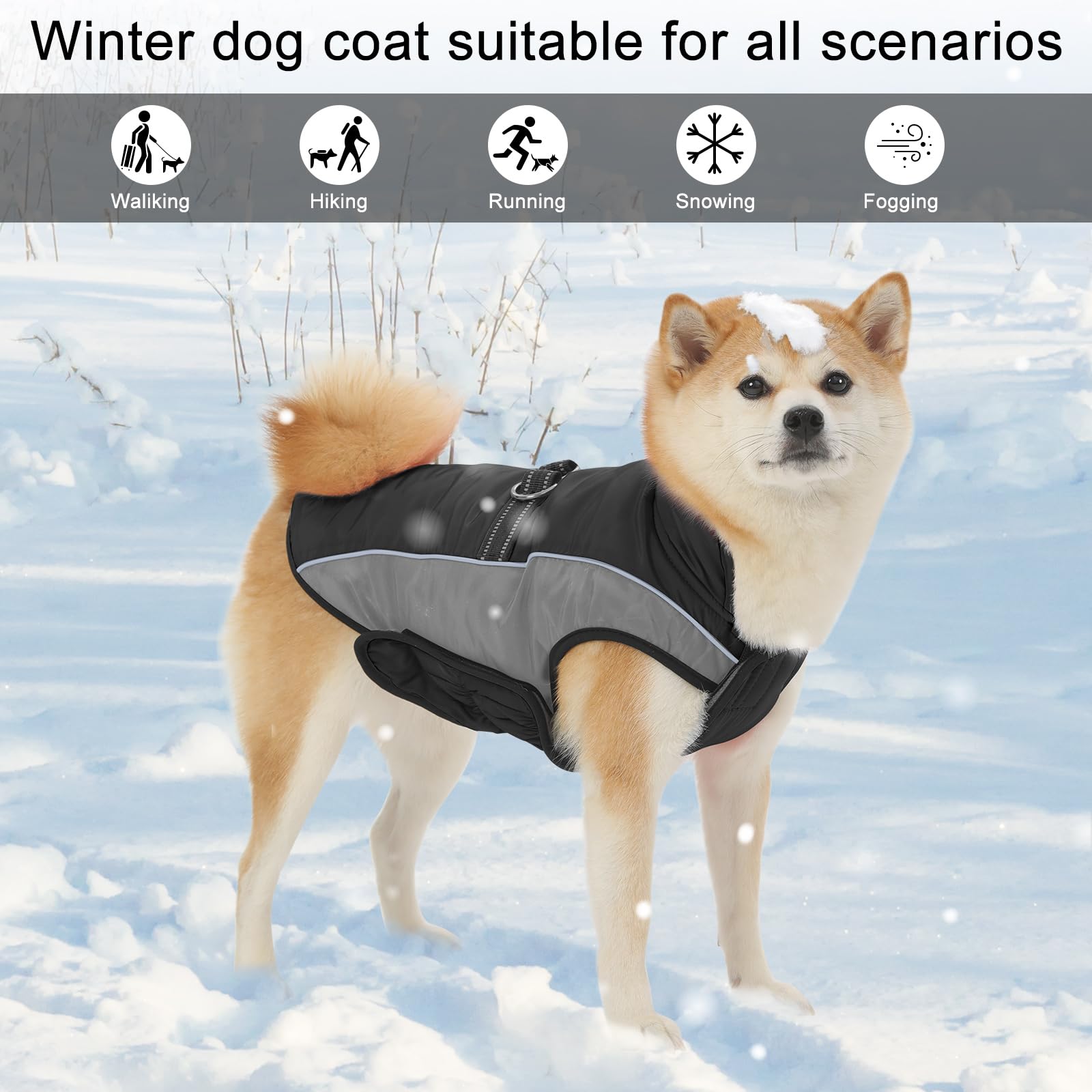 Gmayoo dog coat dual D-ring leash design supports versatile daily walking