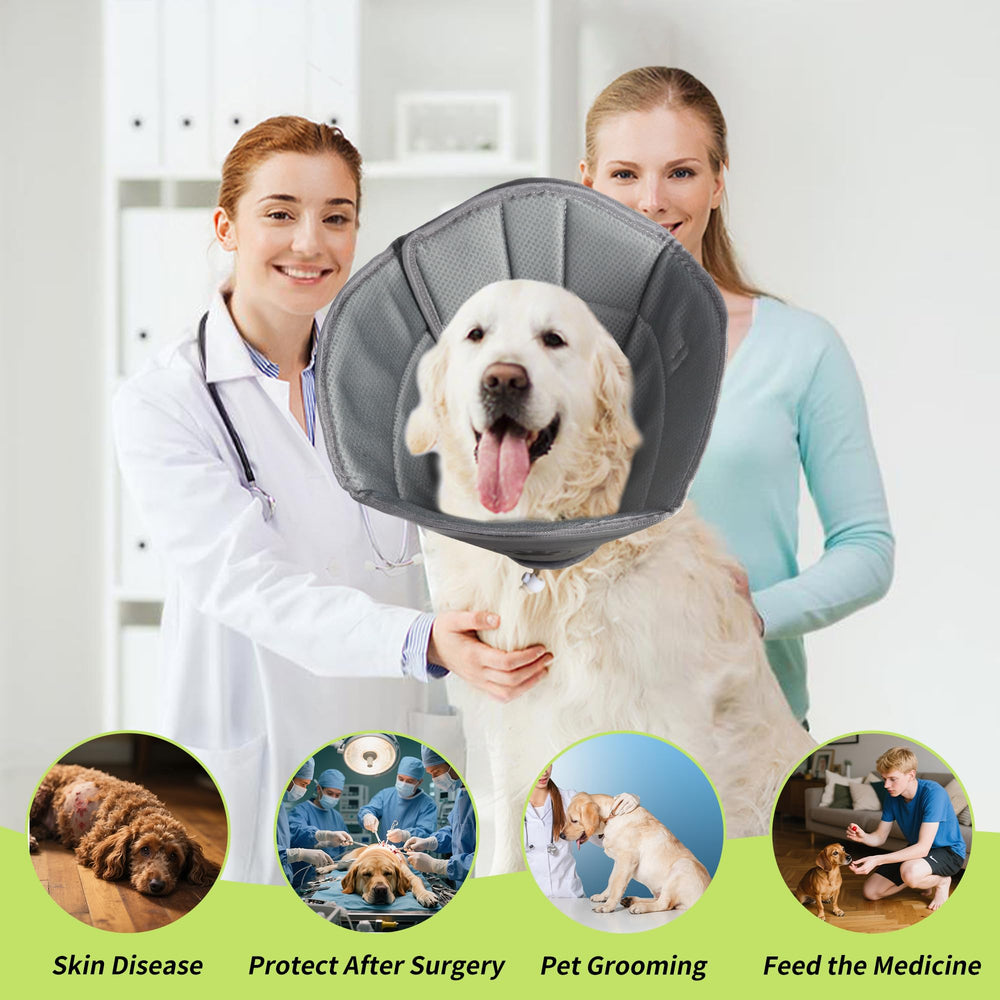 Gmkato soft cone grey side view on pet