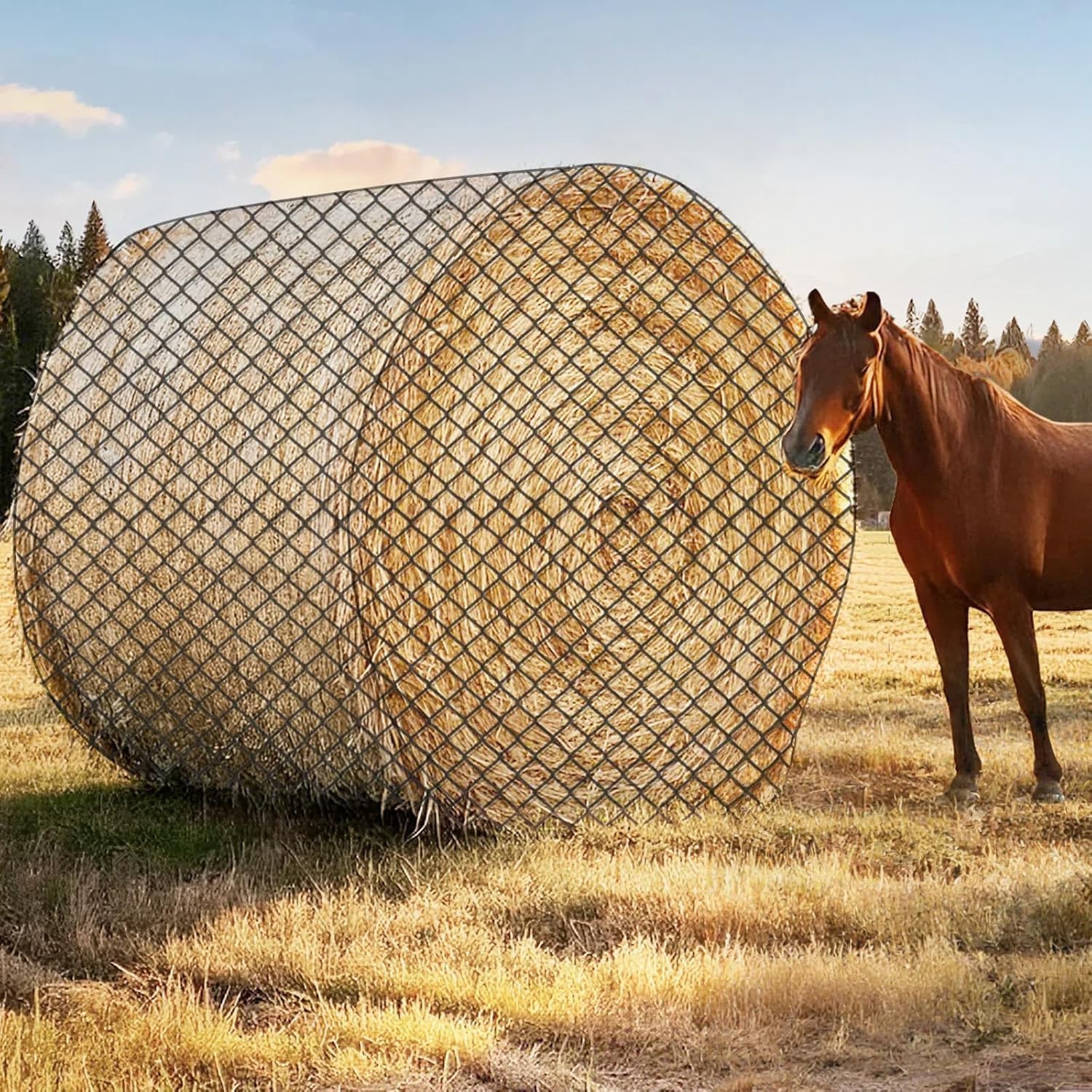 GmTonty round bale hay net 6x6ft front view shows knotless durability reducing wear.