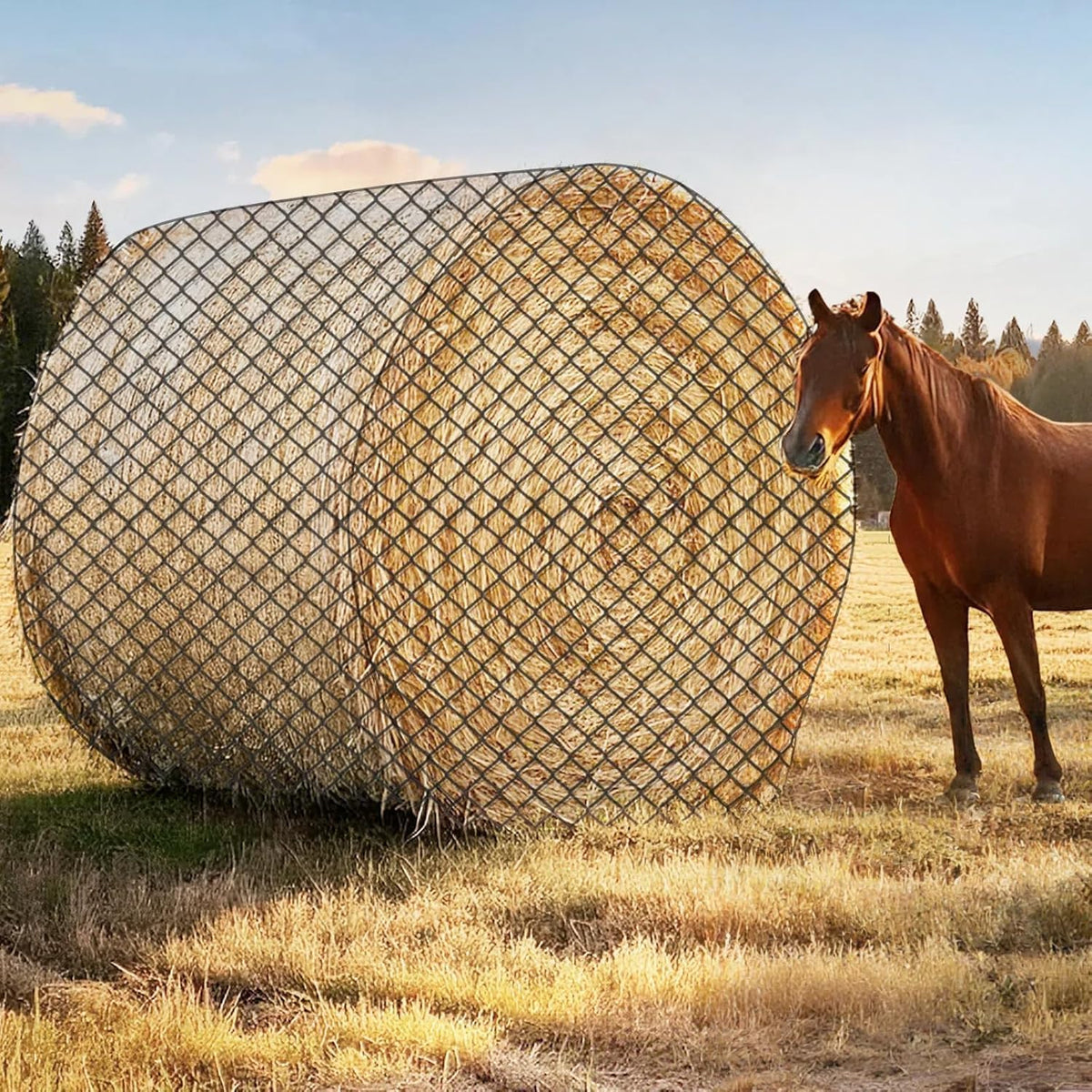 GmTonty round bale hay net 6x6ft front view shows knotless durability reducing wear.