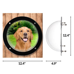 Goaste clear pet dome view highlighting outdoor scenery for dogs