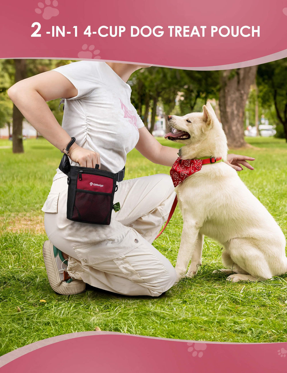 Gobeigo included training clicker aids basic obedience and cues.