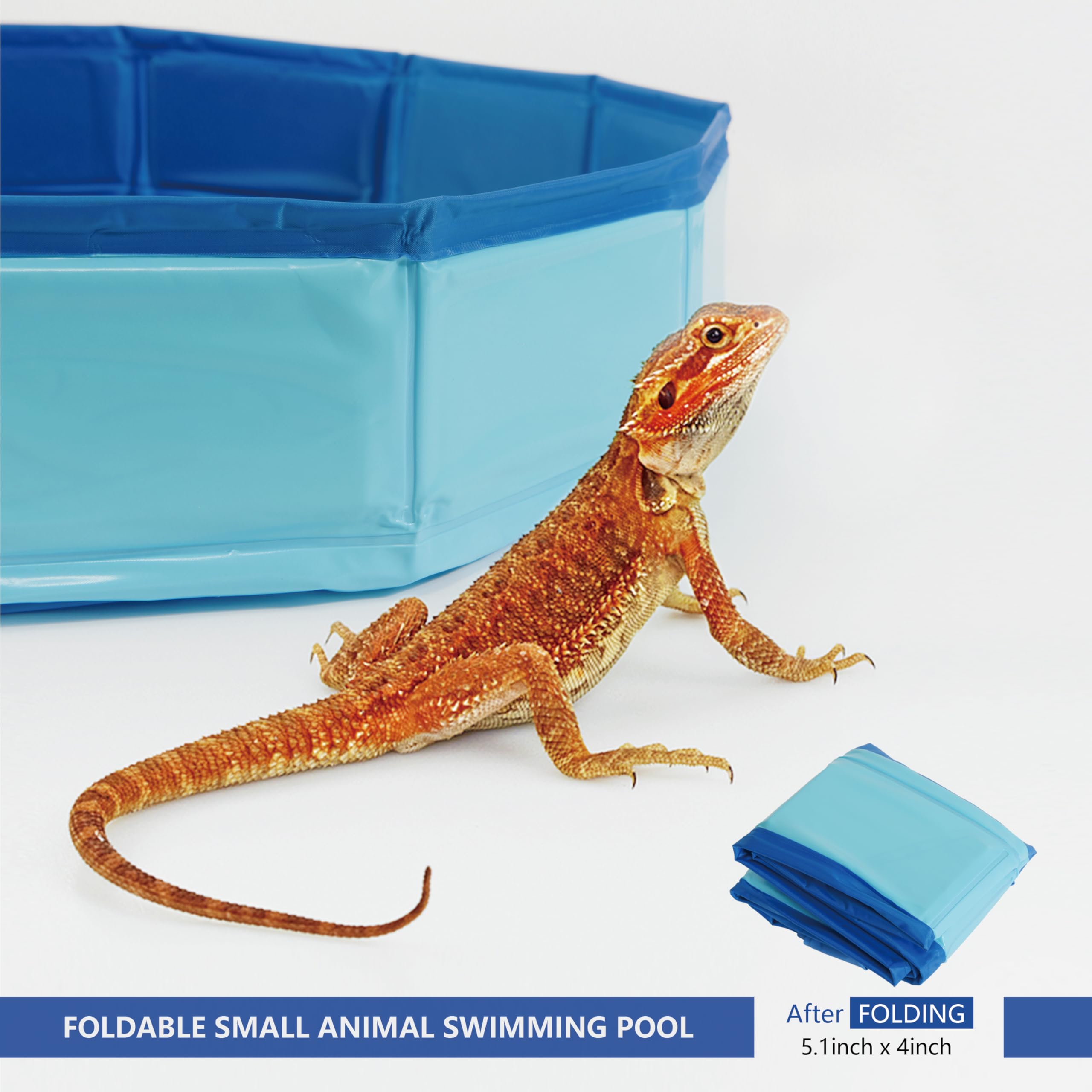 Goblfu bath brush blue aids gentle grooming during bath time.