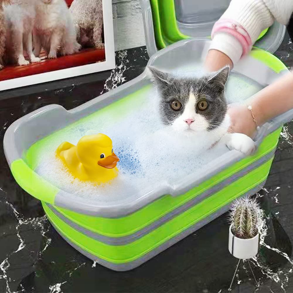 Goderewild tub features 360 degree rim for safe bath time
