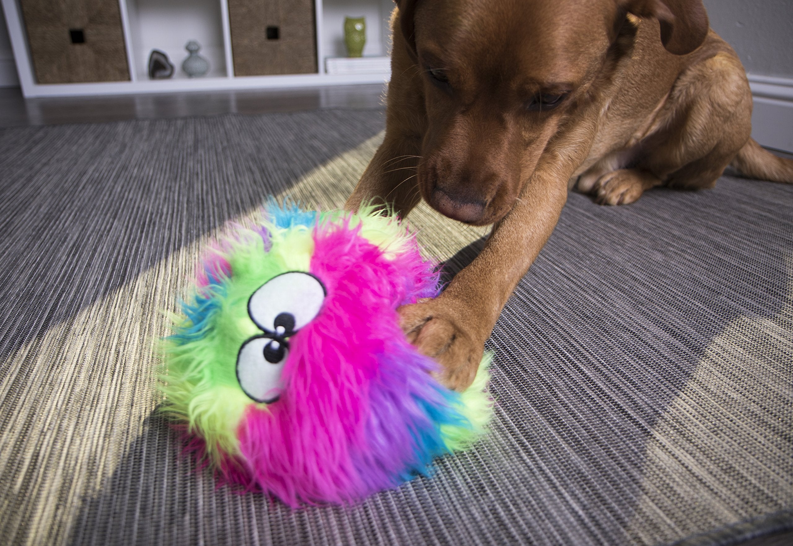 GoDog Furballz vibrant rainbow colorway adds visibility for nighttime or backyard play.