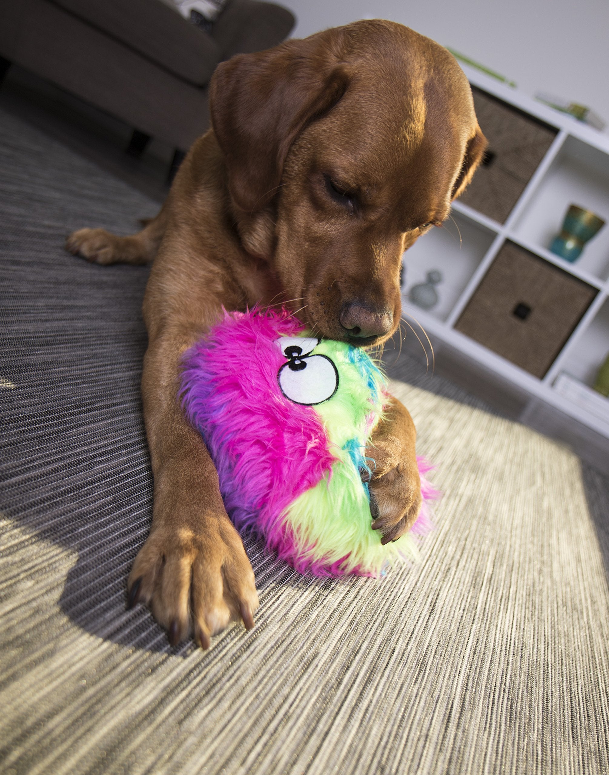 GoDog Furballz enrichment toy stimulates dogs with audible feedback during active sessions.