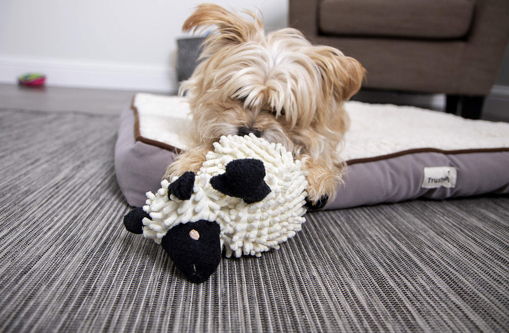GoDog small lamb plush offers secure seams for longer-lasting fun.