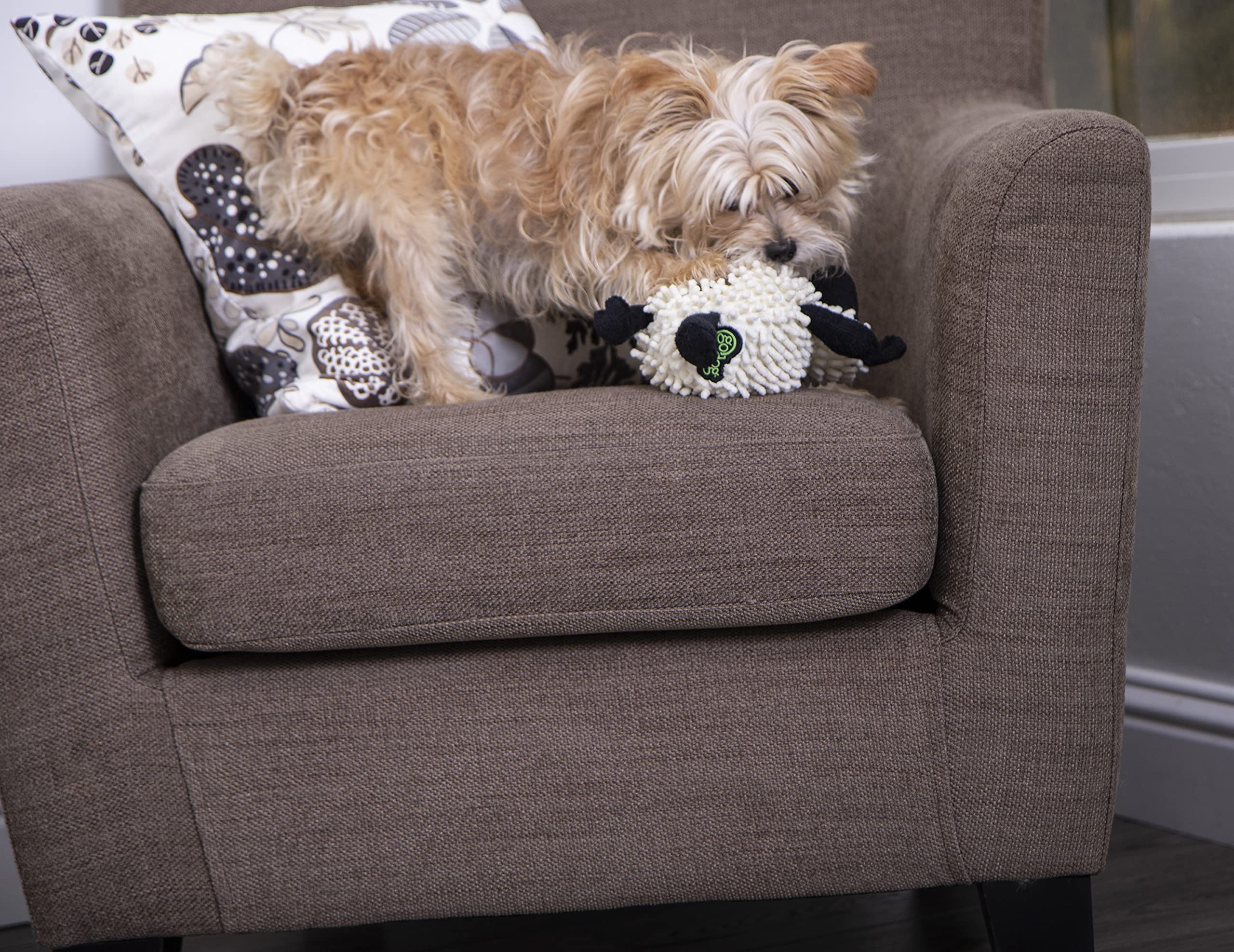 GoDog assorted colors keep playtime fresh and visually engaging for dogs.