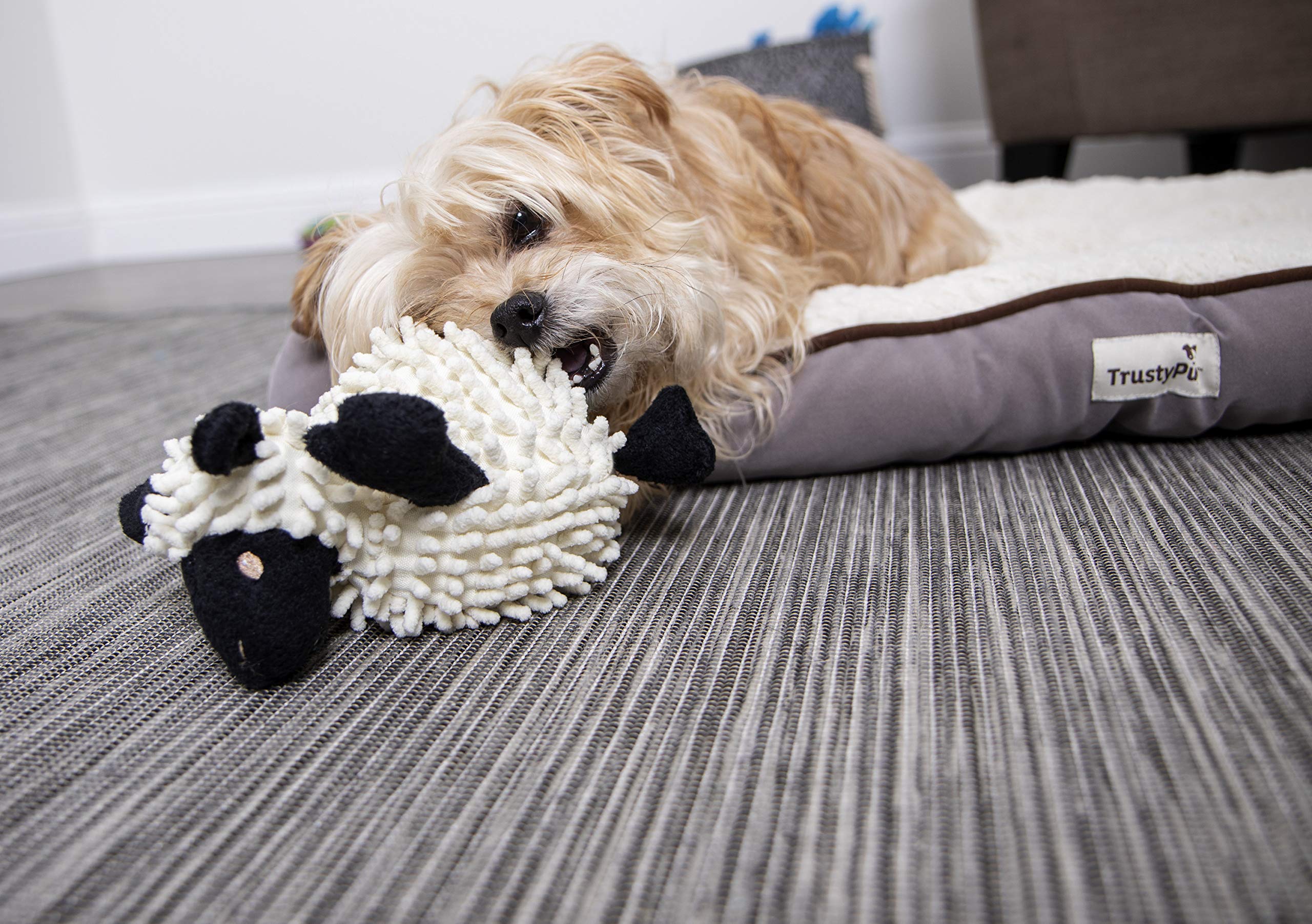GoDog small-sized lamb toy designed for cuddling and gentle tug games.