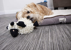 GoDog small-sized lamb toy designed for cuddling and gentle tug games.