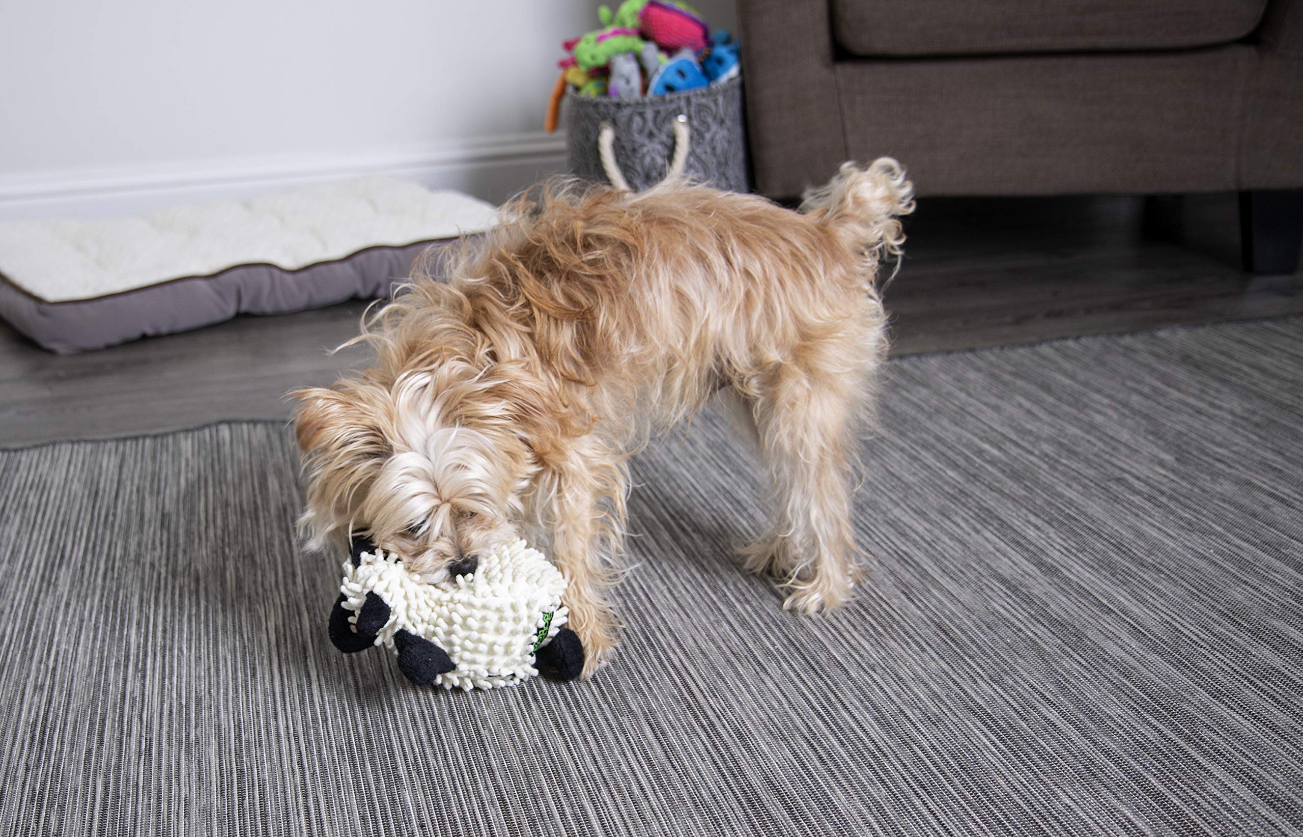 GoDog small lamb toy promotes safe squeak-driven engagement.