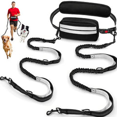 Godyoy double leash for two dogs with safety lock in action