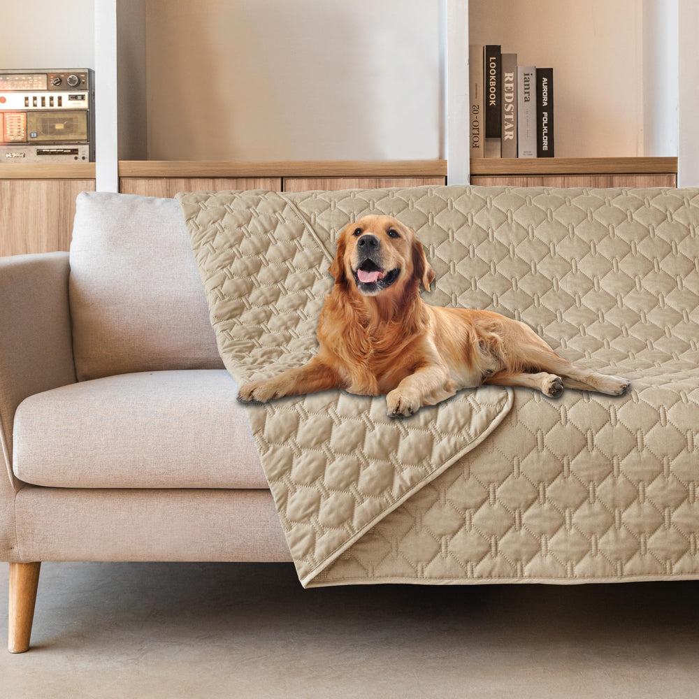 gogobunny 3x-stronger-waterproof-pet-blanket on sofa protects furniture from scratches and accidents