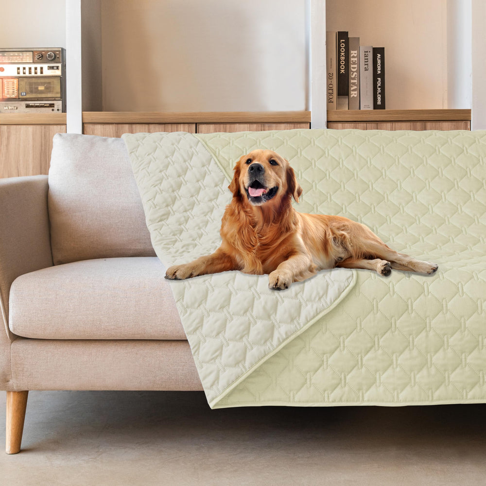 gogobunny bed cover waterproof outer layer keeps sofa dry during playful pets.