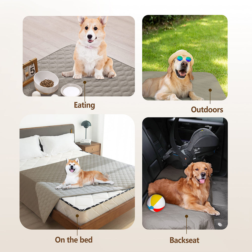 Gogobunny easy-care blanket machine-washable for quick cleanup