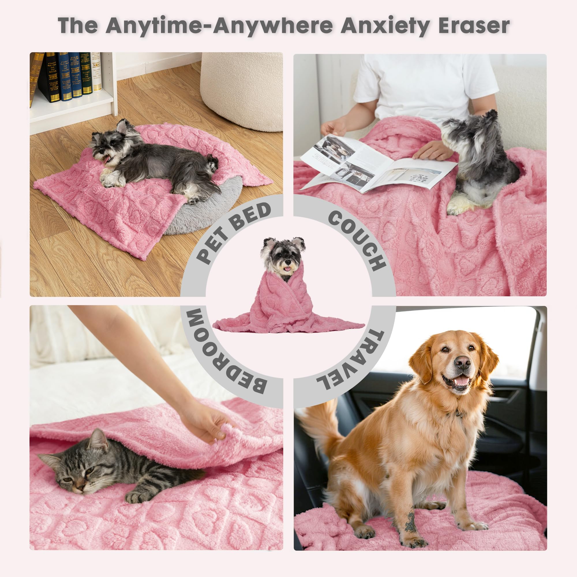 gogobunny calming-blanket-vet-wait-room-scene delivers soothing comfort during visits.