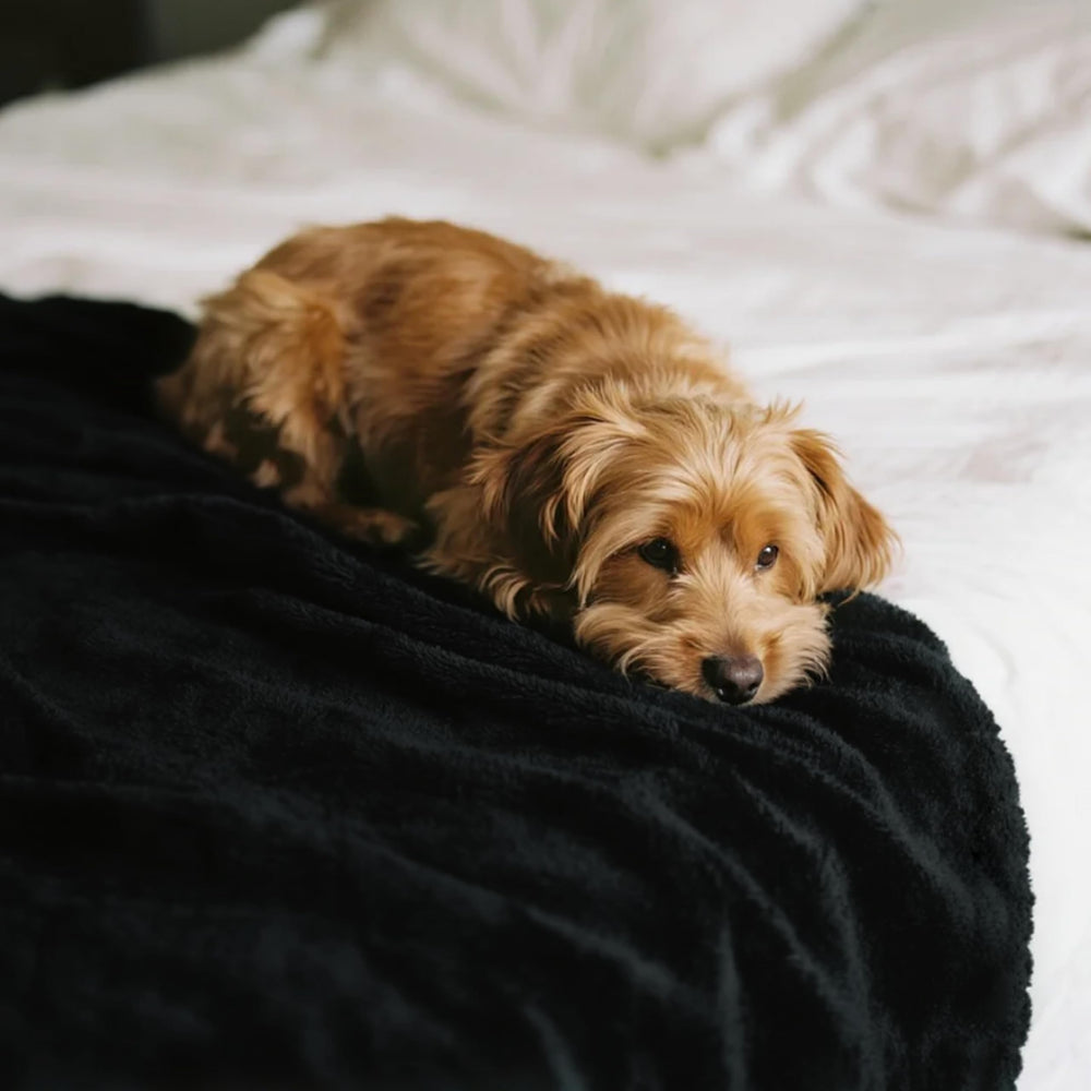 Gogobunny calming texture shows soft flannel top and sherpa backing for pet comfort.