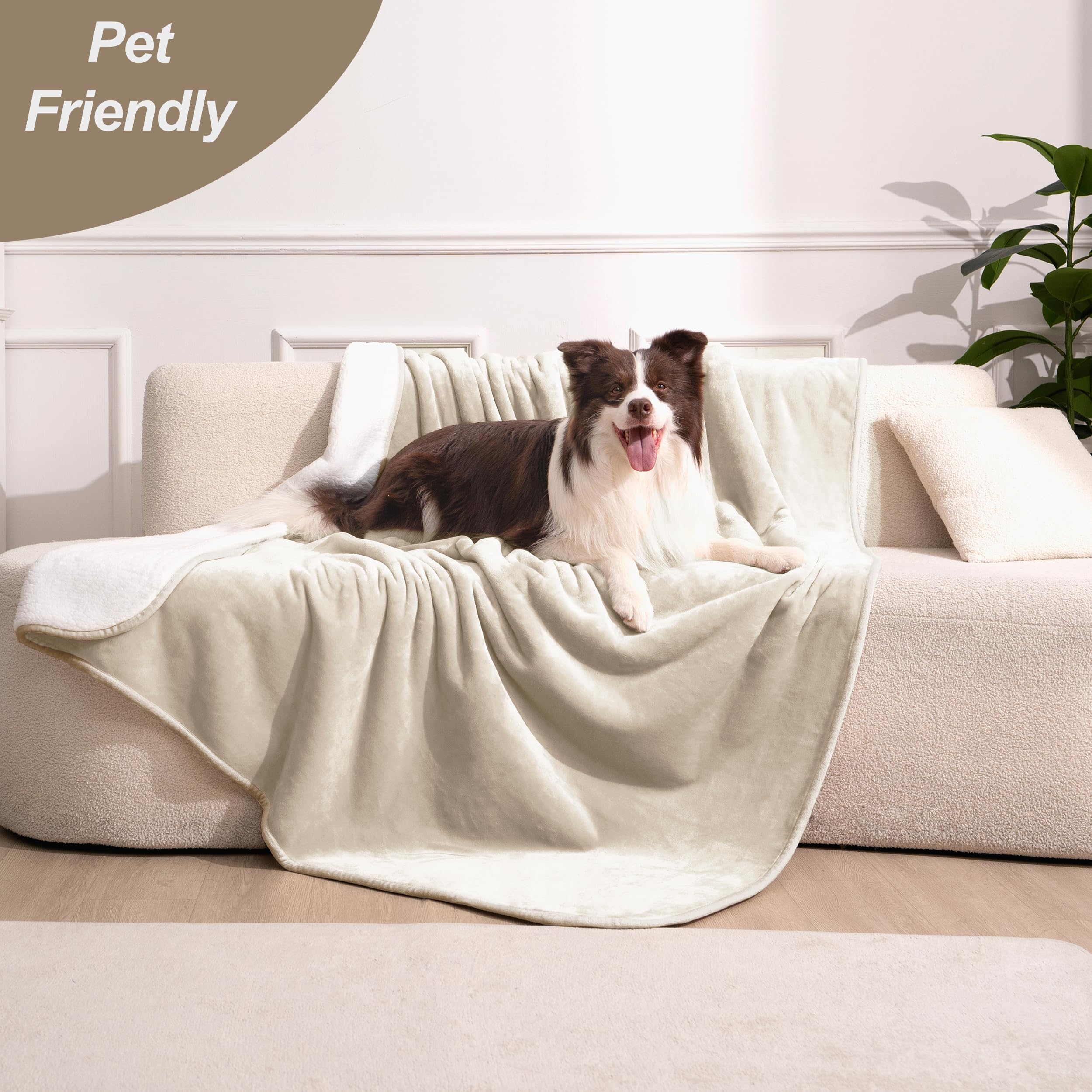 Gogobunny cream bed blanket easy to shake clean and protect furniture.