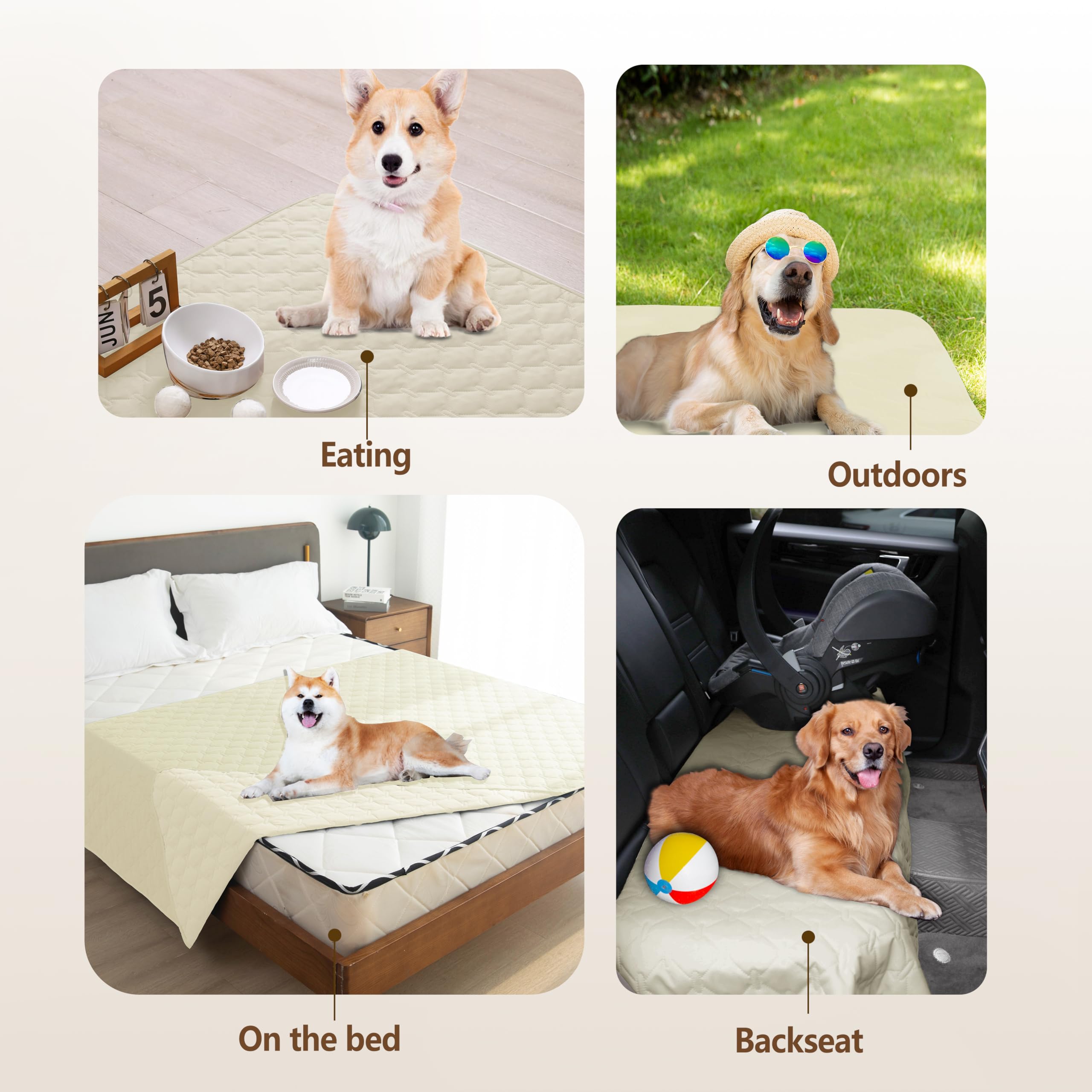 Gogobunny on-sofa protector demonstrates furniture protection during pet lounging.