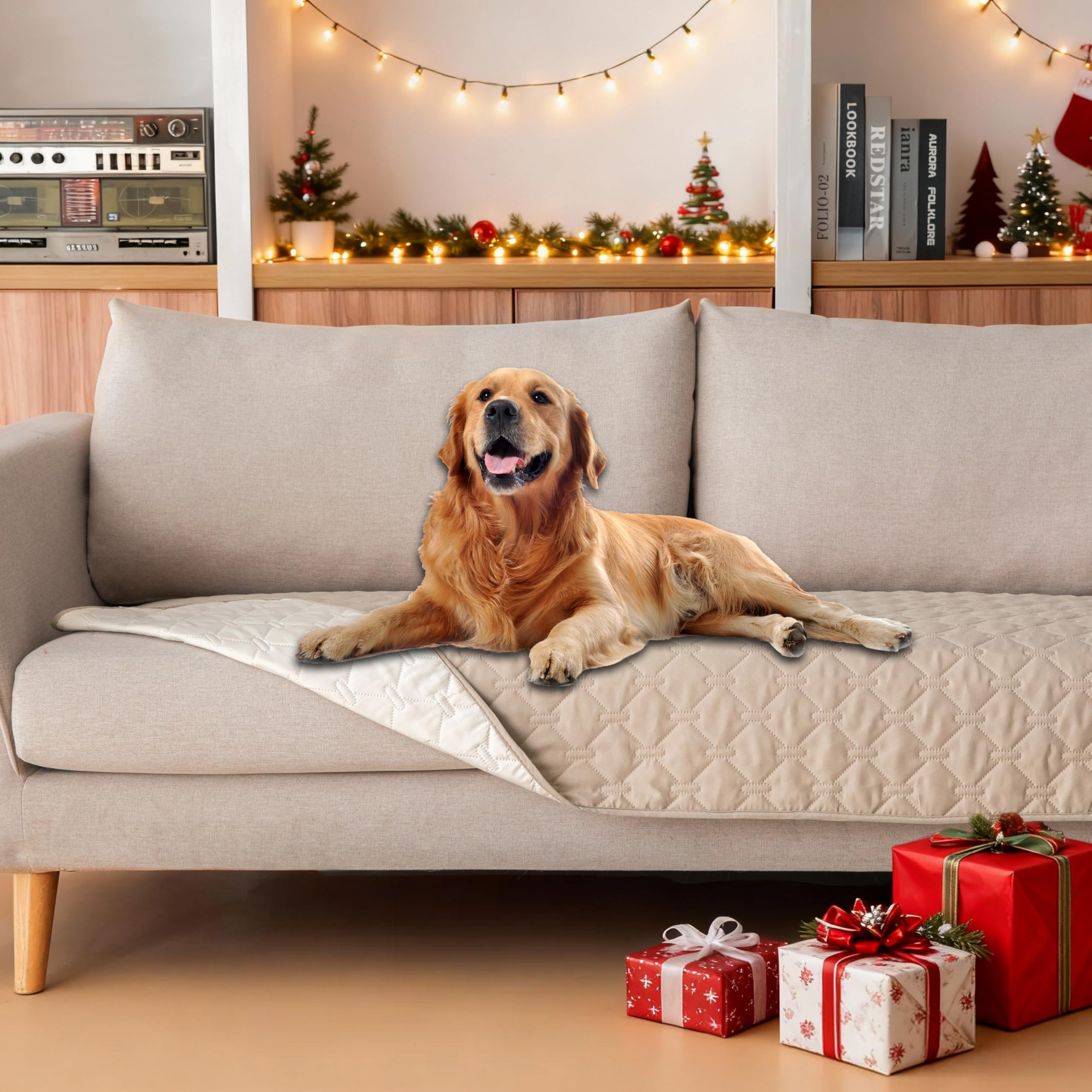 Gogobunny dog bed cover with waterproof outer layer protects furniture from spills and accidents.