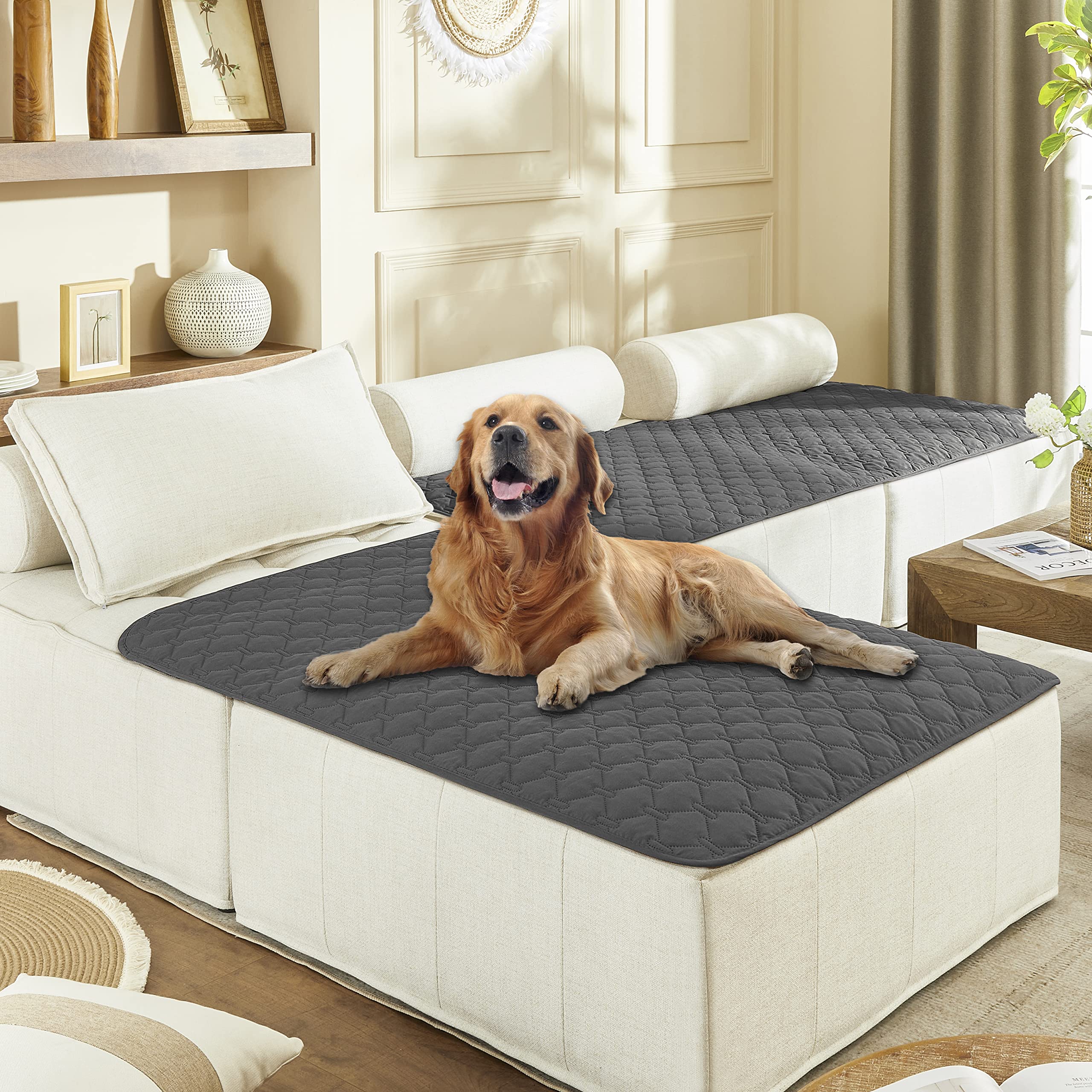 gogobunny dog bed cover waterproof outer layer protects furniture from spills