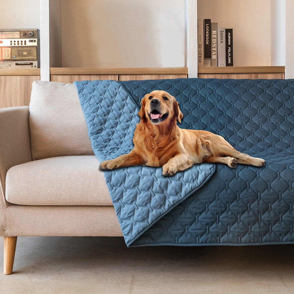Gogobunny dog bed cover waterproof outer layer protects furniture from spills.