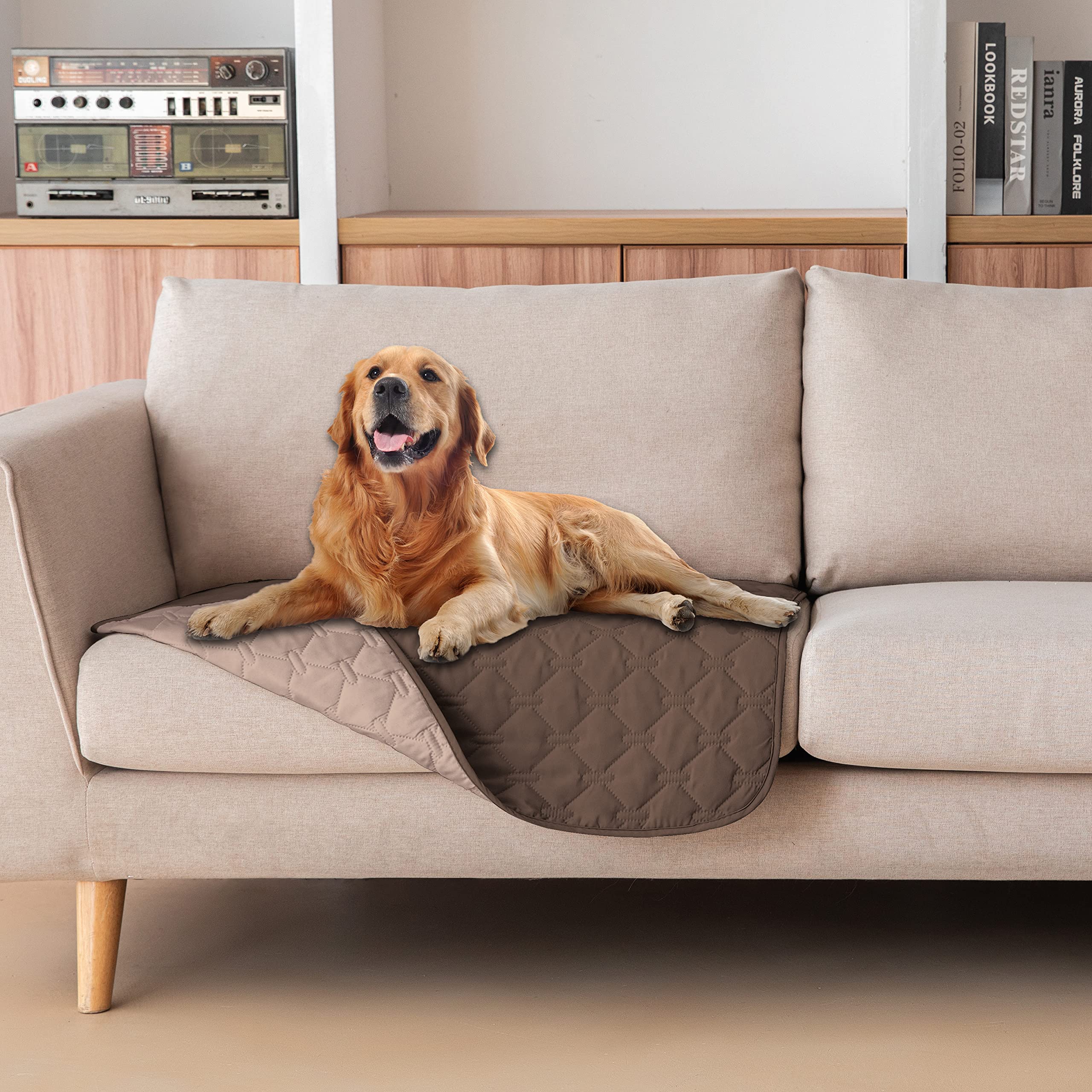 gogobunny dog bed cover with waterproof outer layer protects furniture from spills.