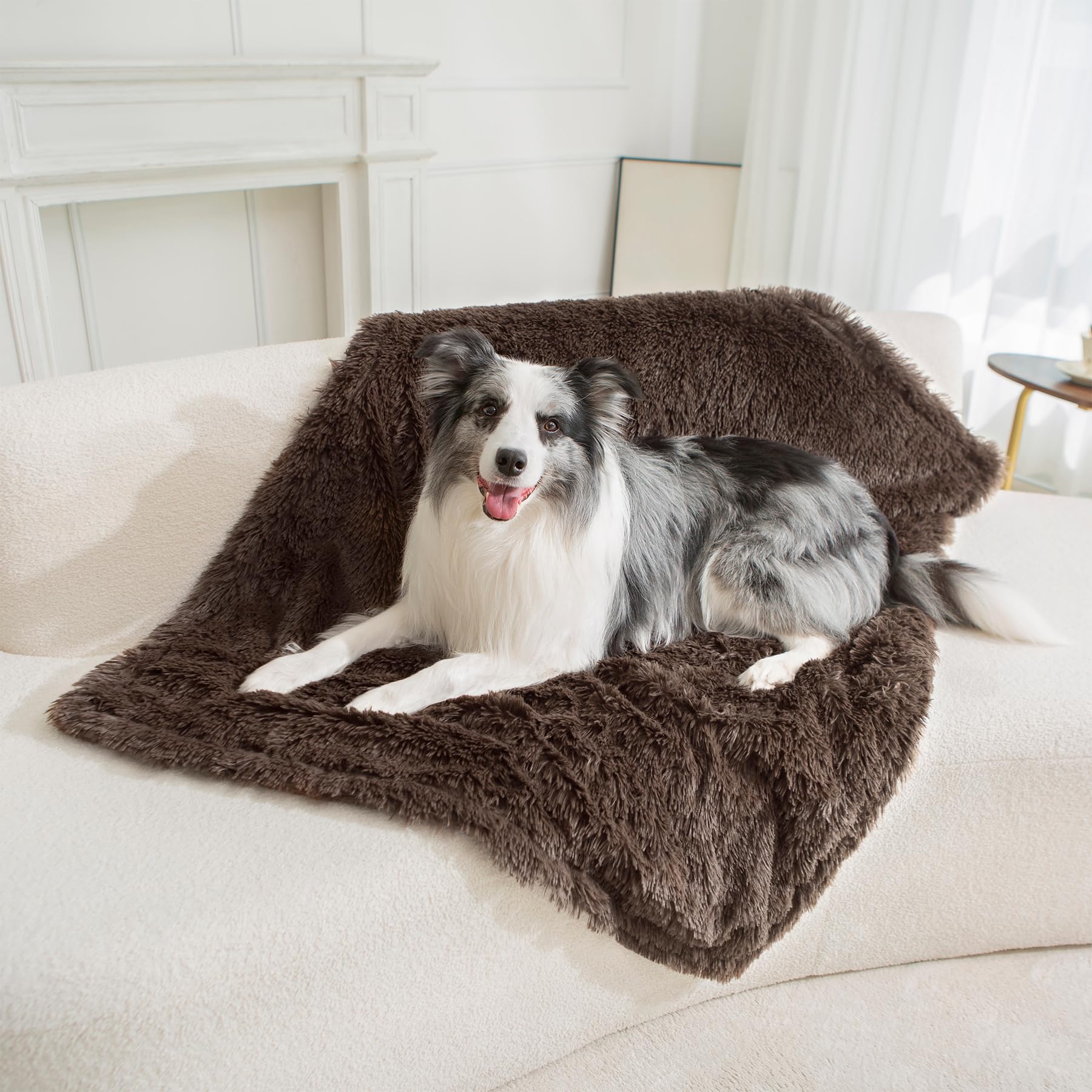 Gogobunny 50x60 chocolate blanket illustrates generous coverage for large pets.
