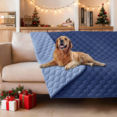 Gogobunny double-sided blanket on sofa protects furniture from spills