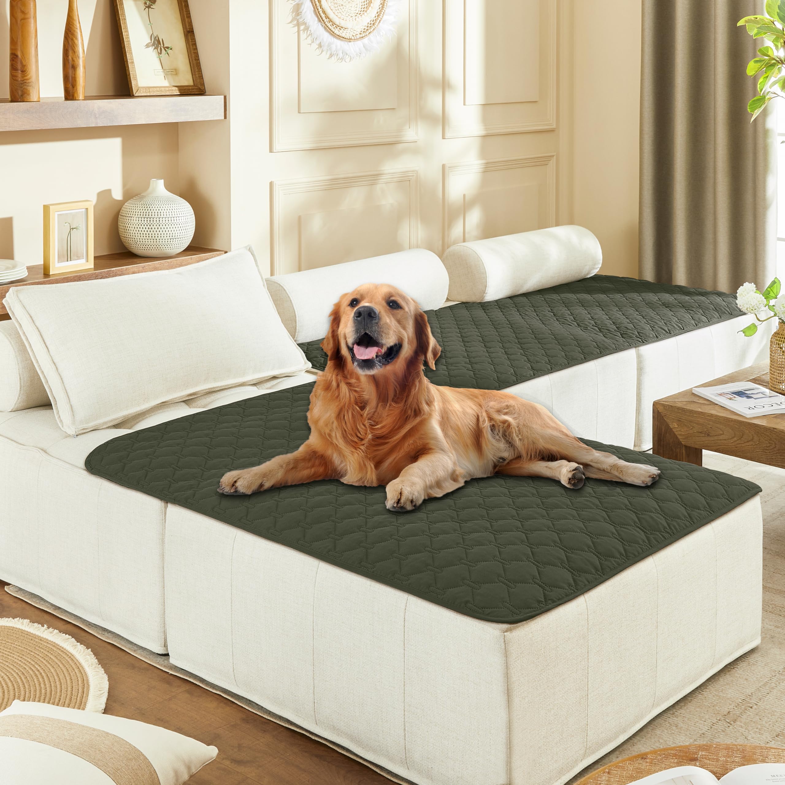 Gogobunny dog blanket outer-layer waterproof protection shields furniture from spills.
