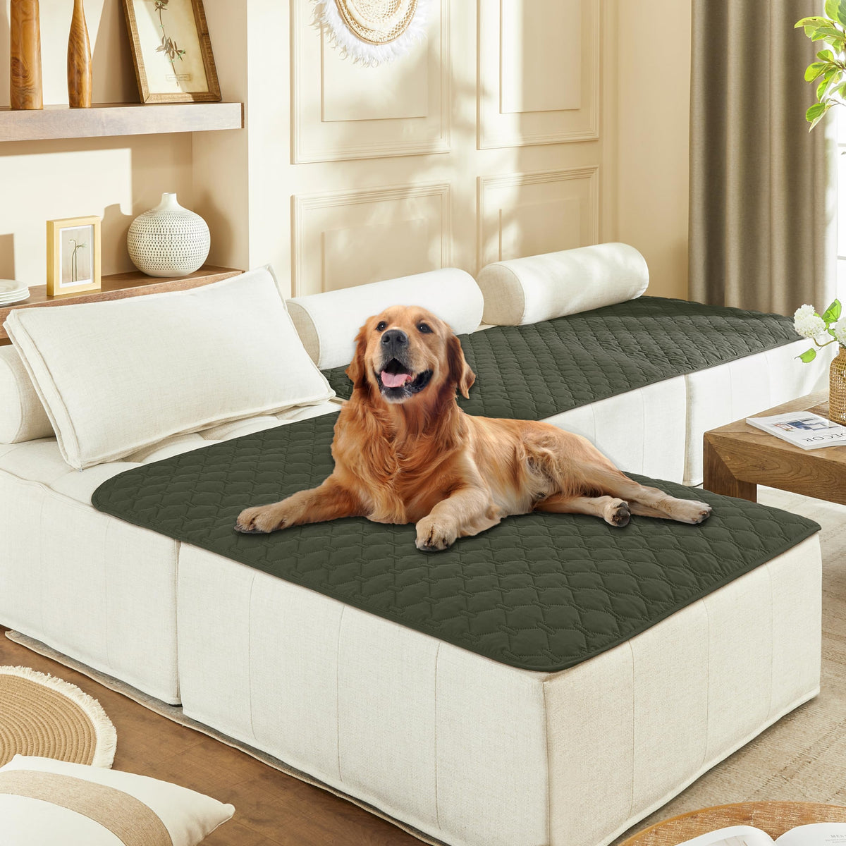 Gogobunny dog blanket outer-layer waterproof protection shields furniture from spills.