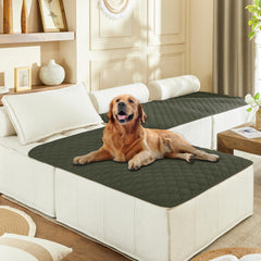 Gogobunny dog blanket outer-layer waterproof protection shields furniture from spills.