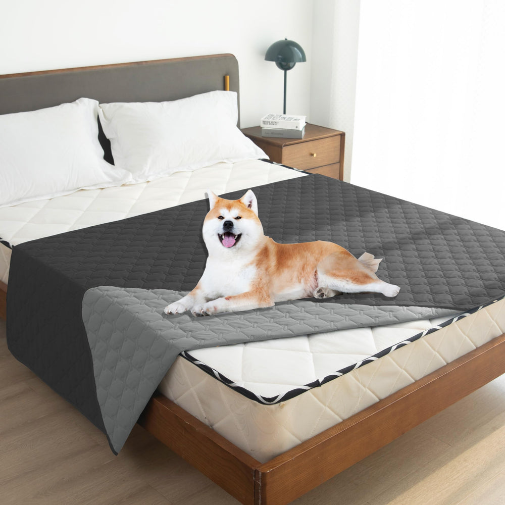 Gogobunny blanket plaid design enhances room decor.