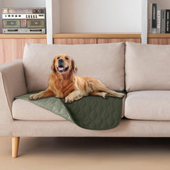 Gogobunny plaid-pattern blanket protecting furniture from pet use and mess.