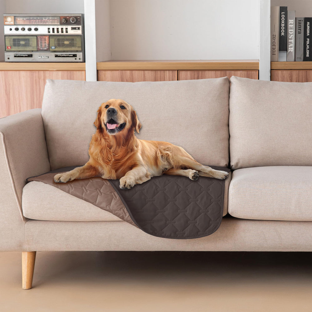 gogobunny dog blanket on sofa protects furniture from paws and spills.