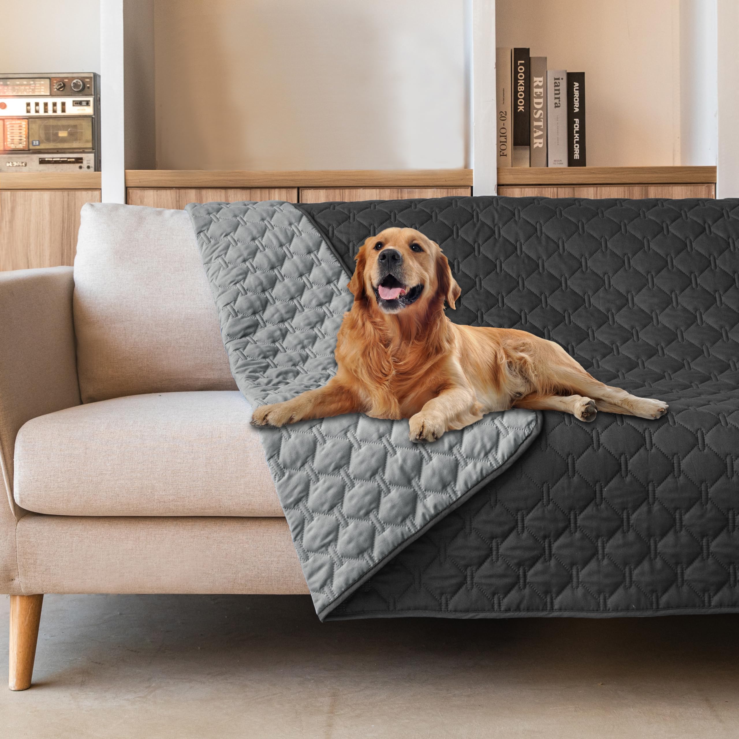 Gogobunny dog blanket waterproof double-layer exterior protects furniture.
