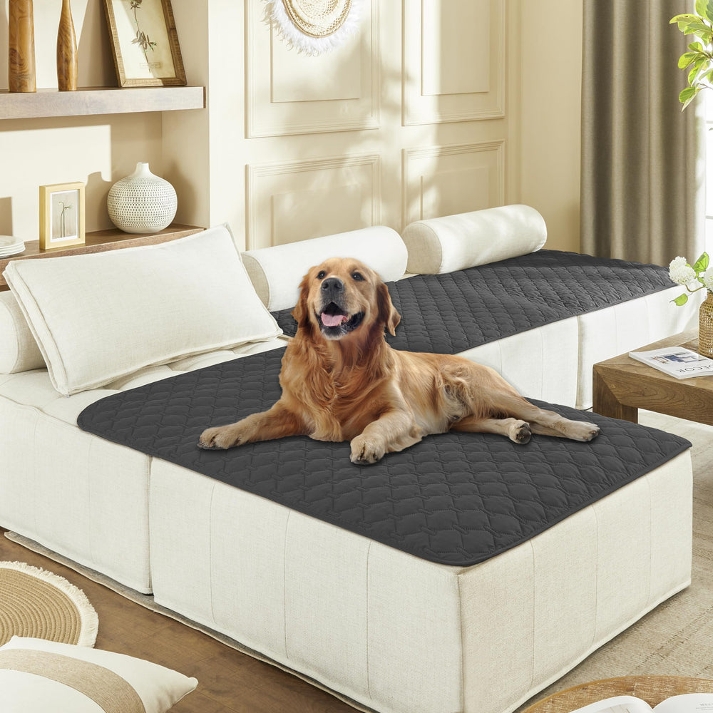 gogobunny dog blanket waterproof double-sided in action protecting sofa cushions from hair and spills