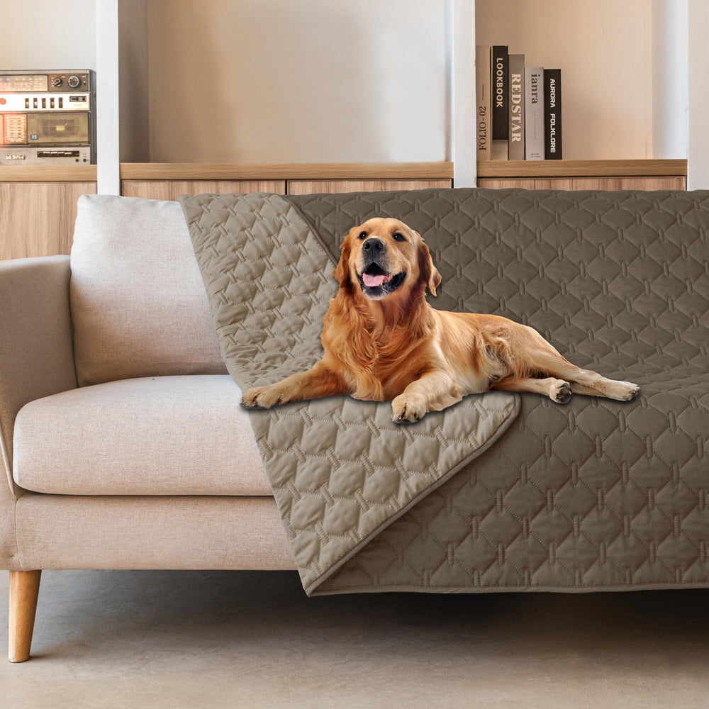 gogobunny dog blanket with waterproof outer layer protects furniture from spills