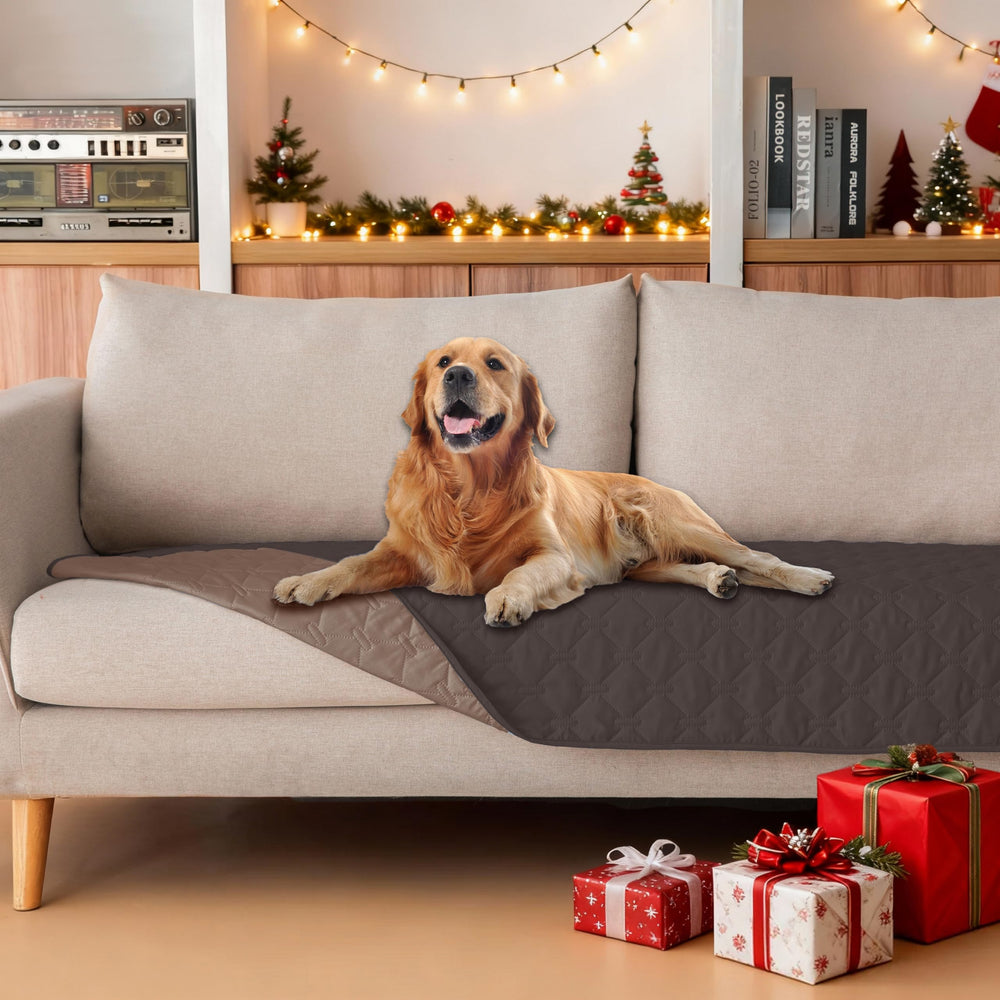 gogobunny dog blanket waterproof outer layer protects furniture from accidents