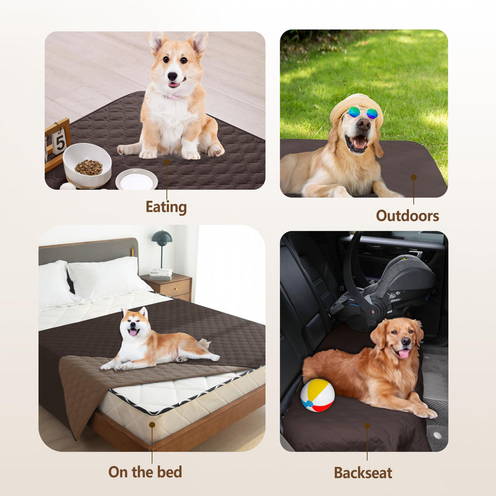 Gogobunny dog-cat blanket in use on car seat or sofa for reliable protection