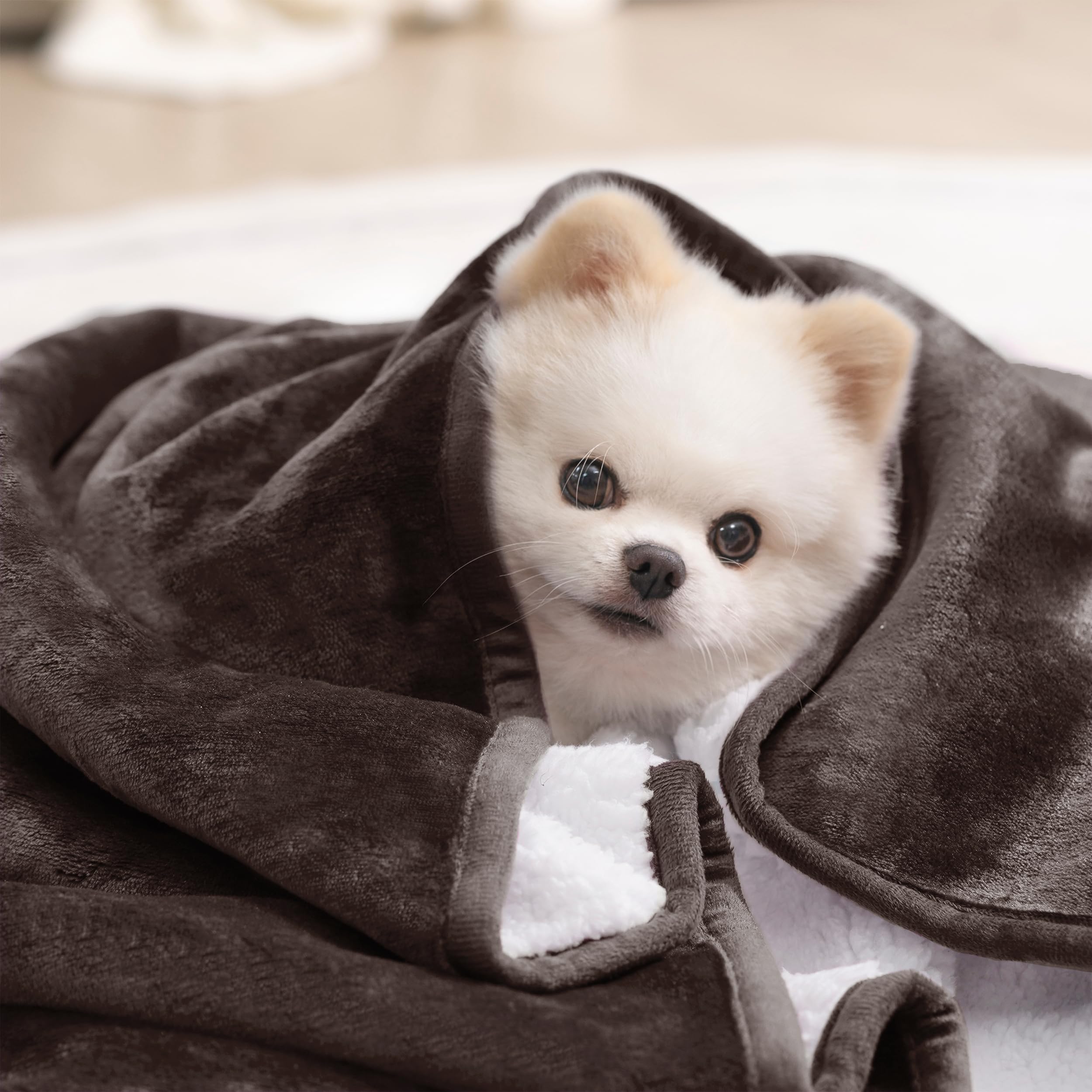 gogobunny dog cat nap on blanket cozy pet spot