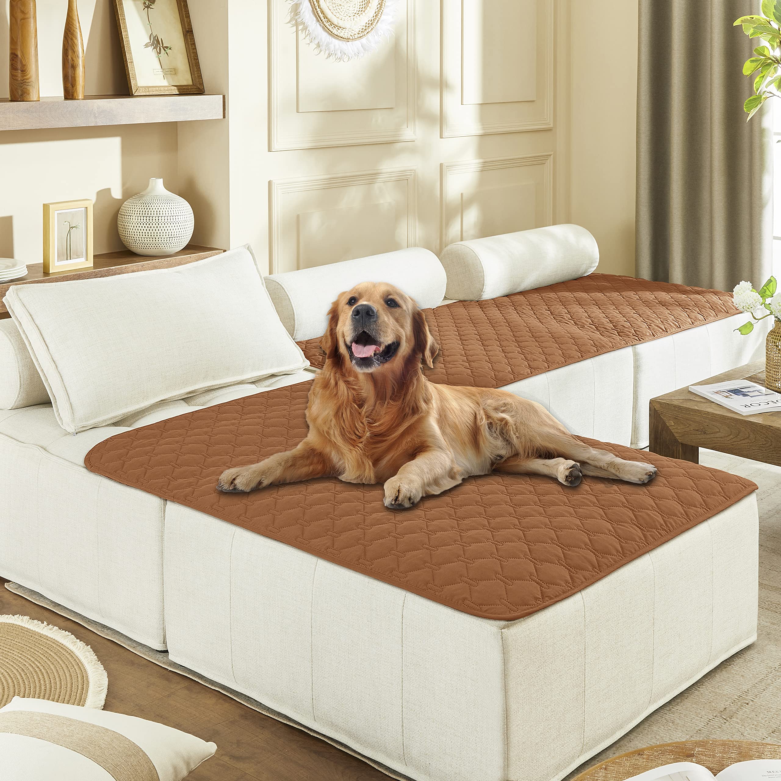 Gogobunny double-sided waterproof bed cover protects furniture from spills.