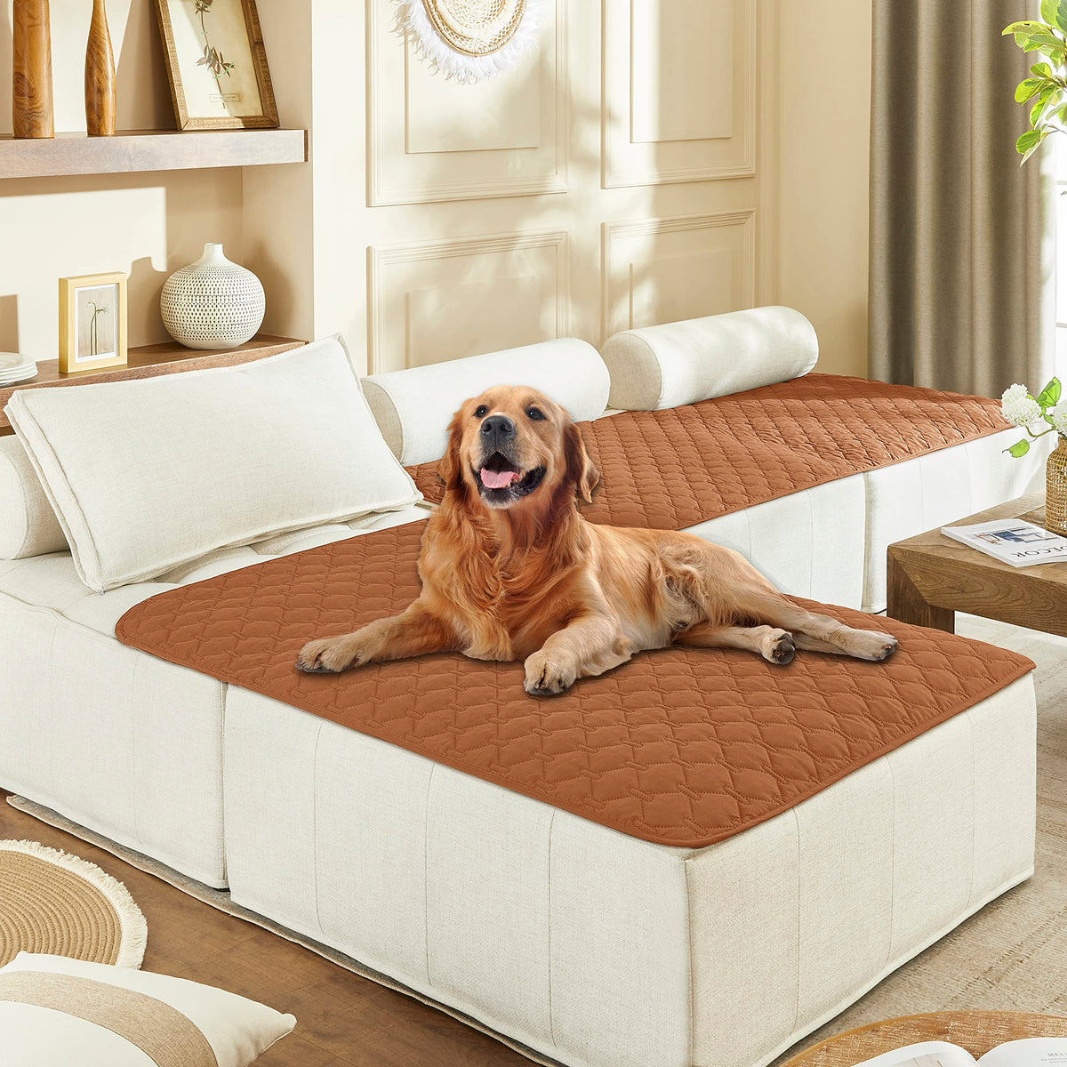 Gogobunny double-sided waterproof bed cover protects furniture from spills.