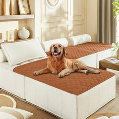 Gogobunny double-sided waterproof bed cover protects furniture from spills.