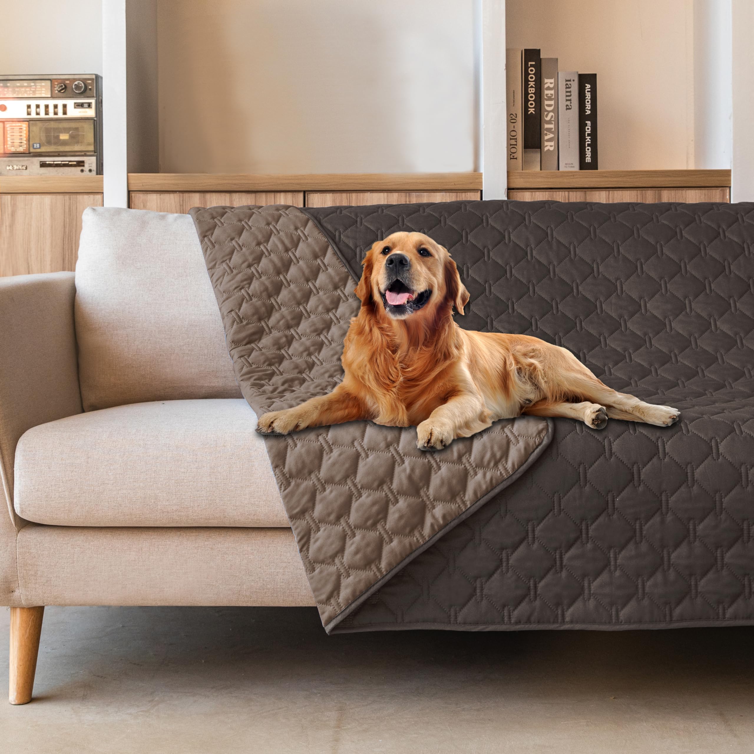 Gogobunny double-sided waterproof blanket front view showing durable protection for furniture