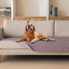 Gogobunny double-sided waterproof blanket folded for easy storage and travel convenience.