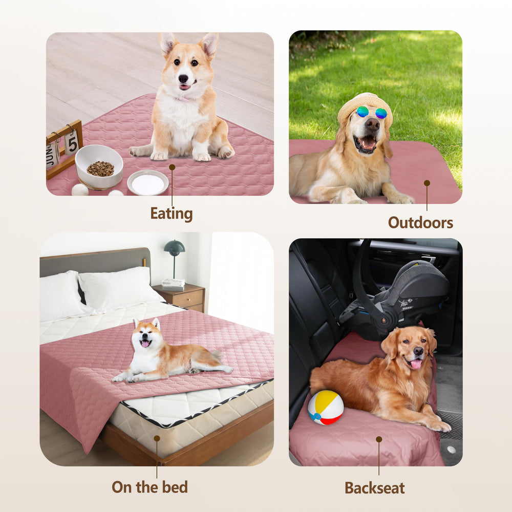 Gogobunny easy-care blanket dries quickly after messes