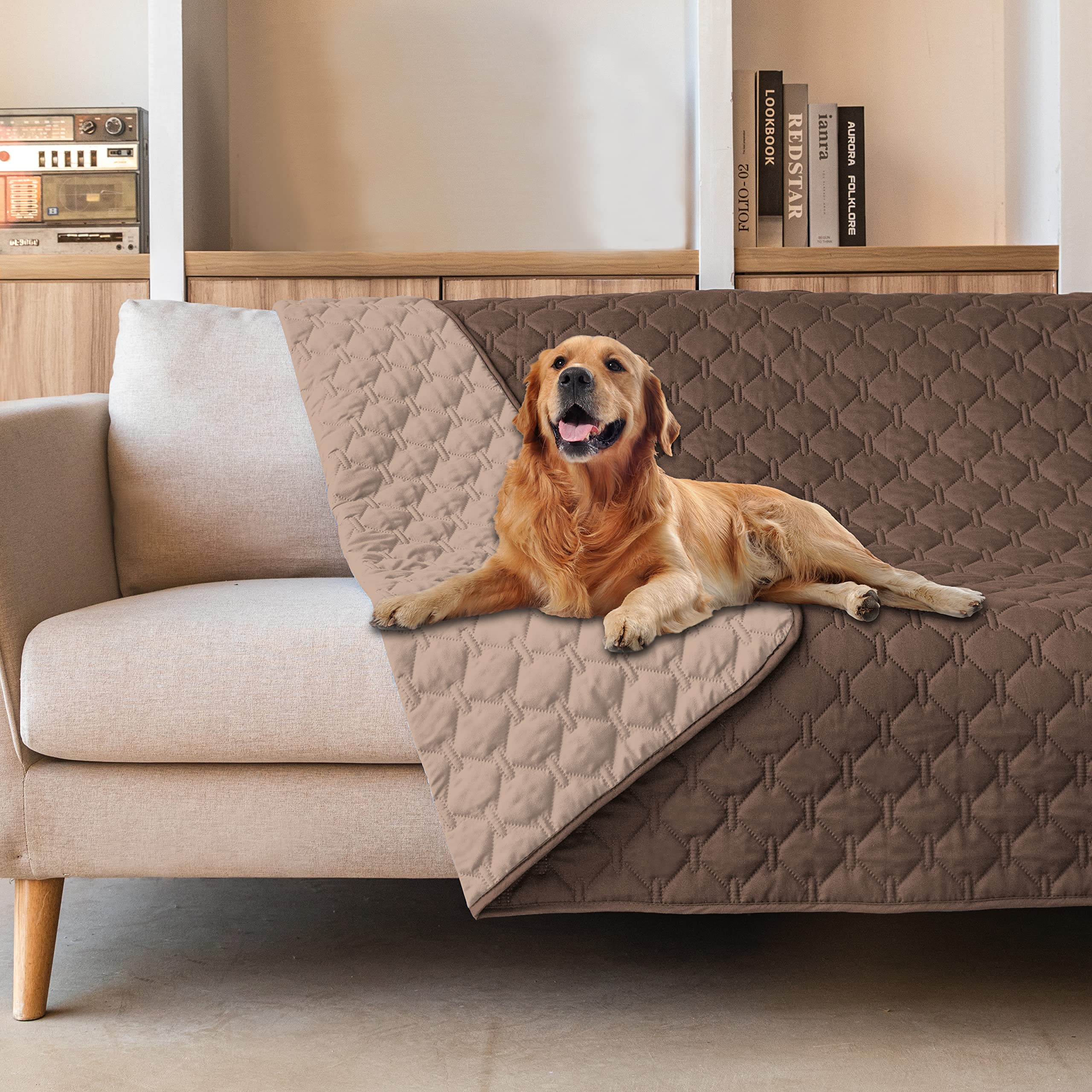 Gogobunny front-view plaid dog bed cover on a sofa protects furniture from spills and scratches.